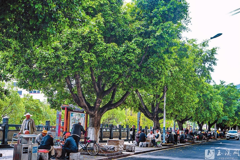 县城街道两旁绿树成荫，市民在树下休闲娱乐。