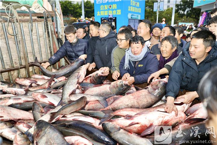 开渔节期间，人们抢购鱼货。记者 沈阳 摄
