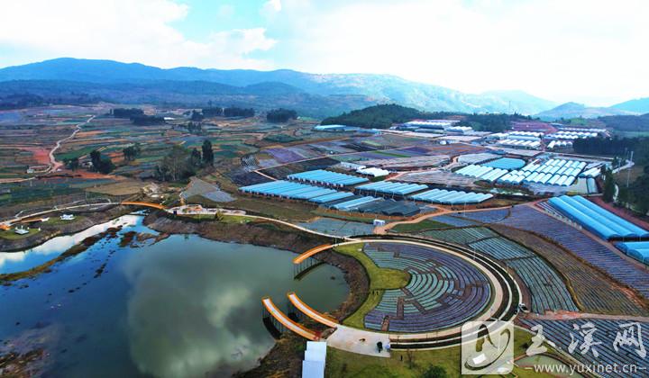 “花漫光山”景区依托光山村多肉种植基地，积极推进农文旅深度融合。