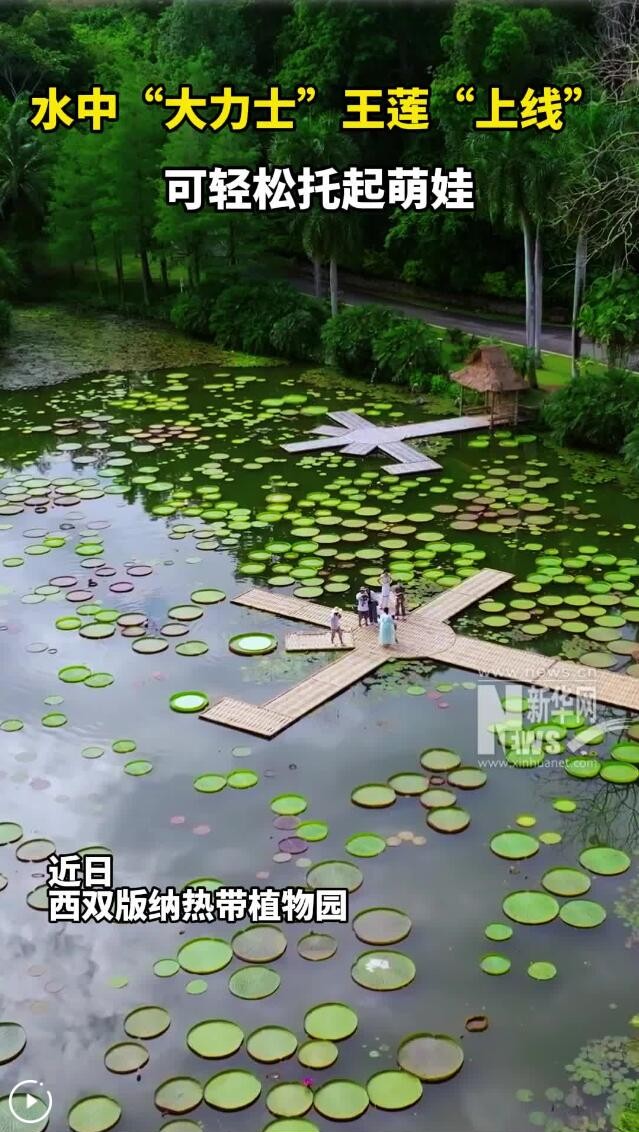 QQ截图20250610144820
